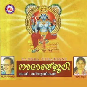 Naadaanjali image