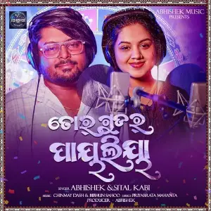 Tor Gudar Payaliah image