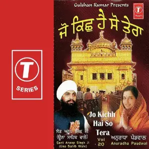 Jo Kichh Hai So Tera (Vol. 20) image