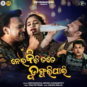 Nei Jibi Tate Dunguripali image