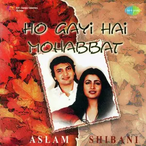 Ho Gayi Hai Mohabbat Aslam And Shibani image