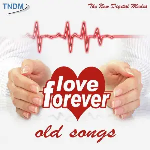 Love Forever Various Artists