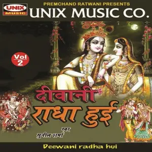Deewani Radha Hui, Vol. 2 image