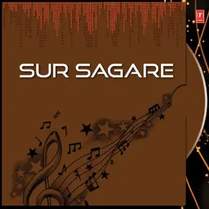 Sur Sagare image