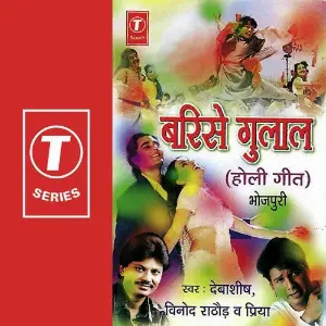 Barise Gulal image