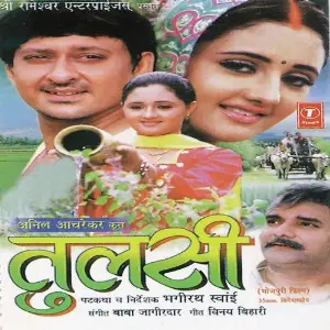 Tulsi image