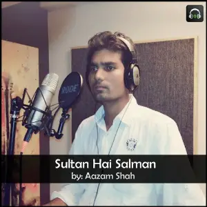 Sultan Hai Salman image