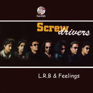 Screw Drivers image
