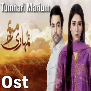 Tumhari Marium (From Tumhari Marium) image