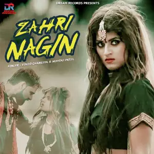 Zahri Nagin - Single image