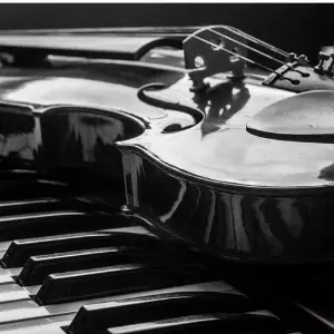 Chakravaagam Violin 2 image