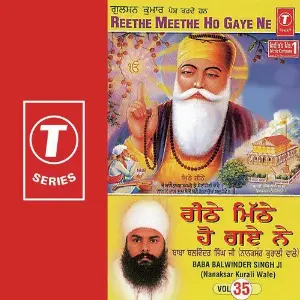 Reethe Meethe Ho Gaya Ne (Vol. 35) image