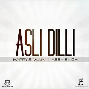 Asli Dilli image