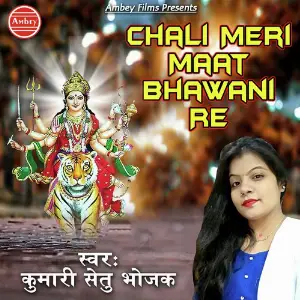 Chali Meri Maat Bhawani Re image