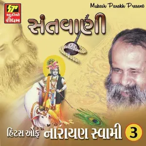 Evening Bhajan Narayan Swami