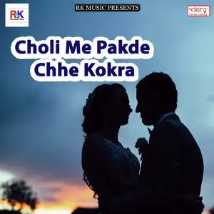 Choli Me Pakde Chhe Kokra image