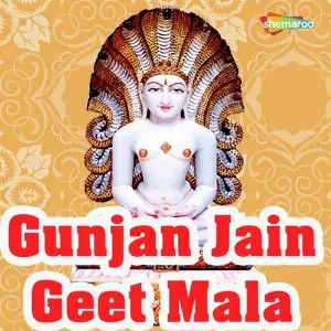 Gunjan Jain Geet Mala image