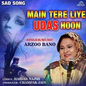 Main Tere Liye Udas Hoon image