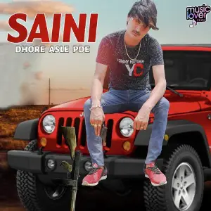 Saini Dhore Asle Pade image