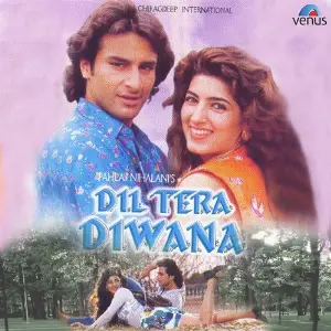 Dil Tera Diwana image