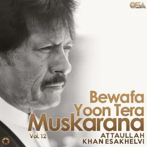 Bewafa Yoon Tera Muskarana, Vol. 12 image
