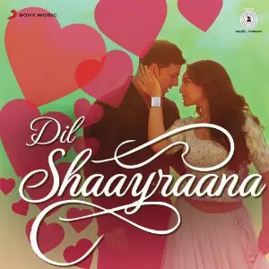 Dil Shaayraana image