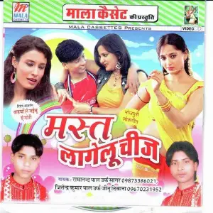 Mast Laagelu Cheez image