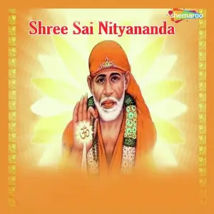 Shree Sai Nityananda image