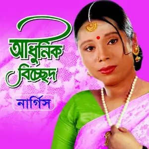 Adhunik Bichhed image