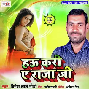 Hau Kari Ye Raja Jee image