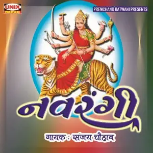 Navrangi image