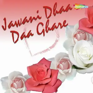 Jawani Dhaa Daa Ghare image
