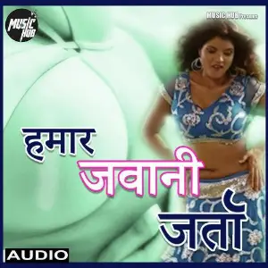 Hamar Jawani Jarta image