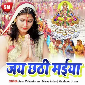 Jay Chhathi Maiya image