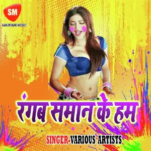 Rangab Saman Ke Ham image