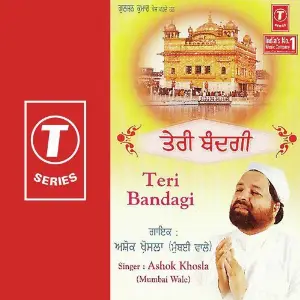 Teri Bandagi image