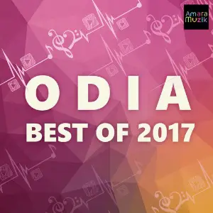 Best of 2017 Odia Various Artists