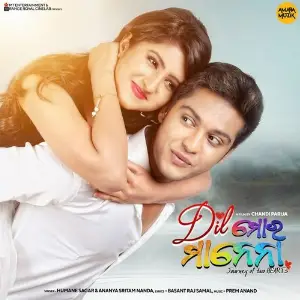 Dil Mora Manena image