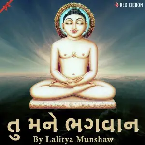 Tu Mane Bhagwan image