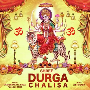 Shree Durga Chalisa image