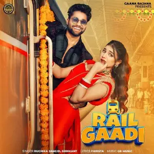 Rail Gaadi image