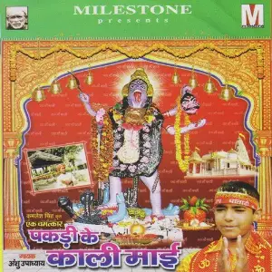 Pakdi Ke Kali Mai image