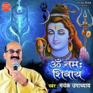 Om Namah Shivay image