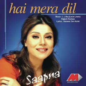 Hai Mera Dil image