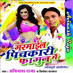 Garmail Pichkari Fagun Me image