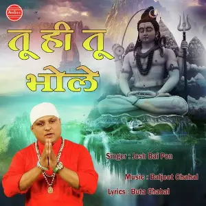 Tu Hu Tu Bhole image