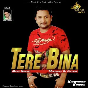 Tere Bina image