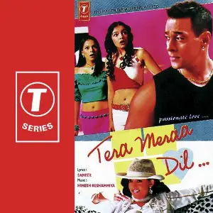Chori Theek Nahi image