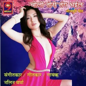 Choli Tori Tang Bhayeel image