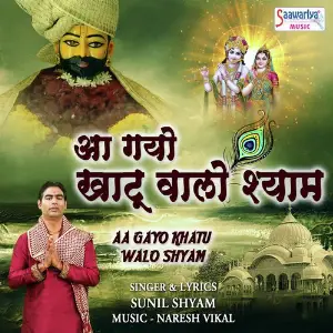 Aa Gayo Khatu Walo Shyam image